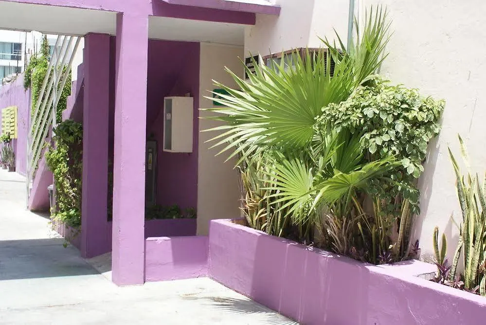 Hotel Hc Internacional Cancun 3*,