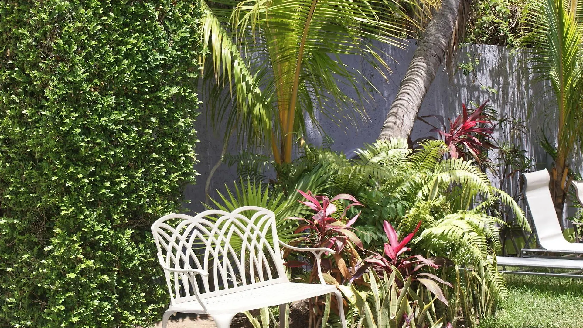 Hotel Hc Internacional Cancun
